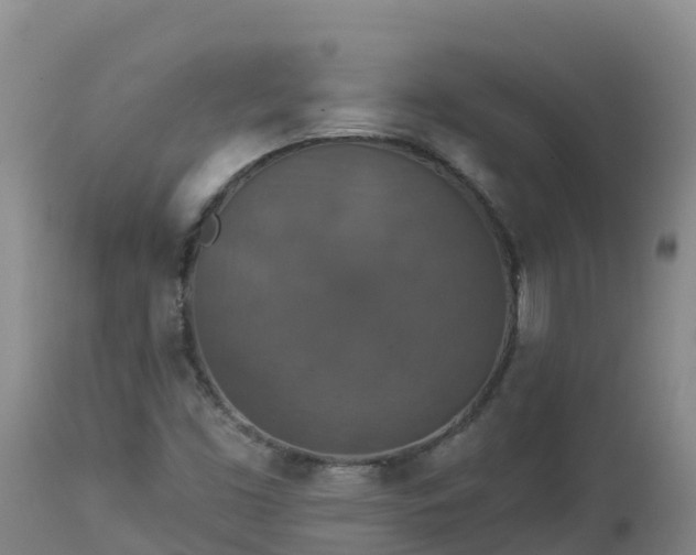 X0000112821453200908281520
