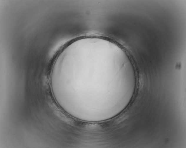 X0000112821454200908281520