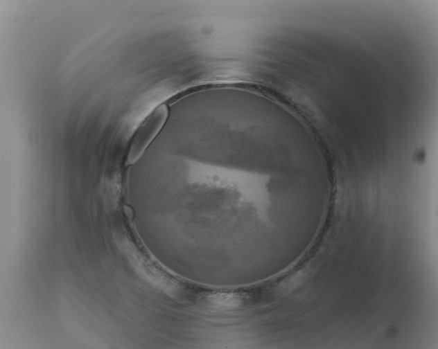 X0000112821457200908281520