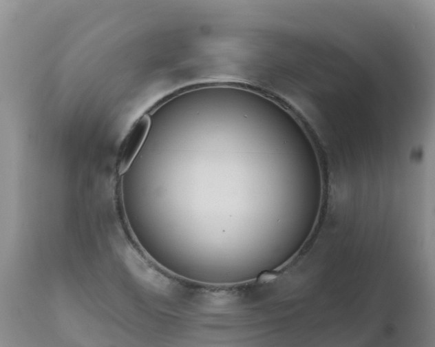 X0000112821460200908281519
