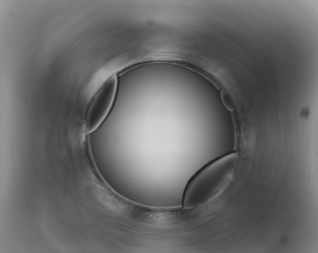 X0000112821461200908281519
