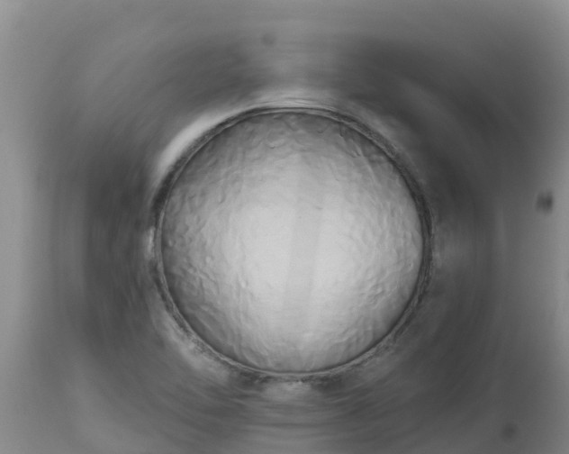 X0000112821462200908281519