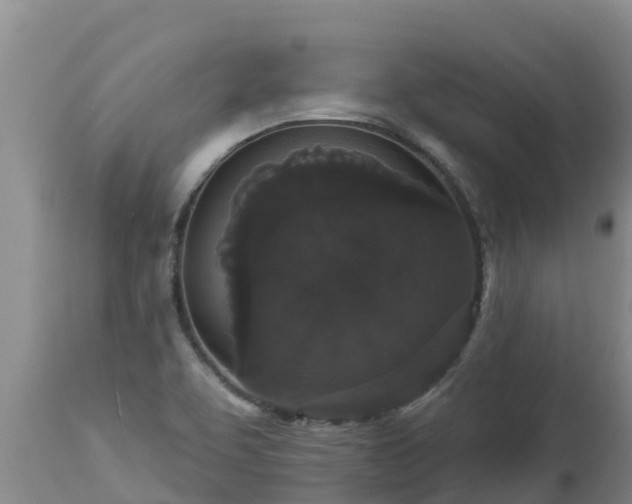 X0000112821463200908281519