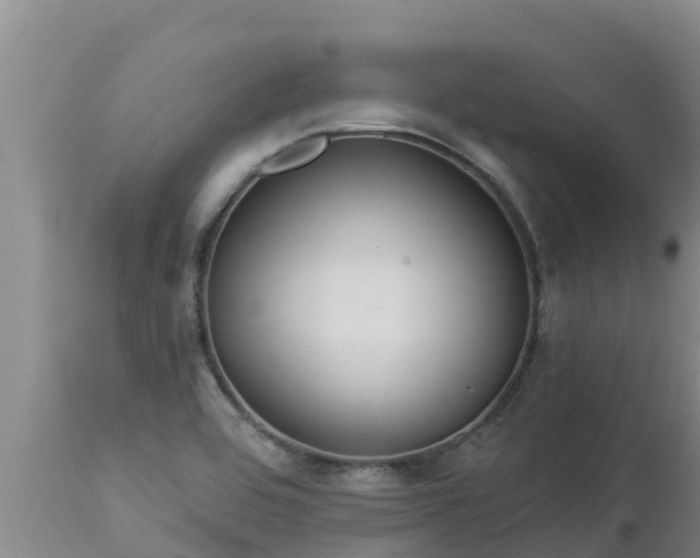 X0000112821464200908281519