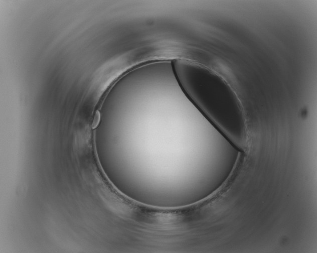 X0000112821465200908281519