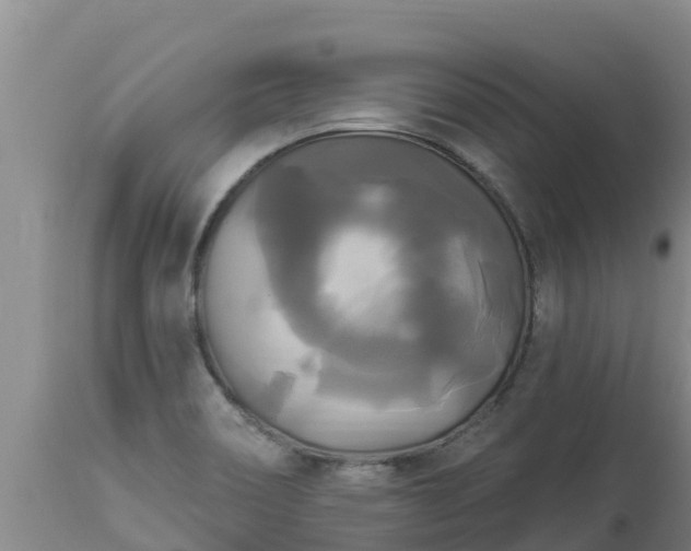 X0000112821466200908281519