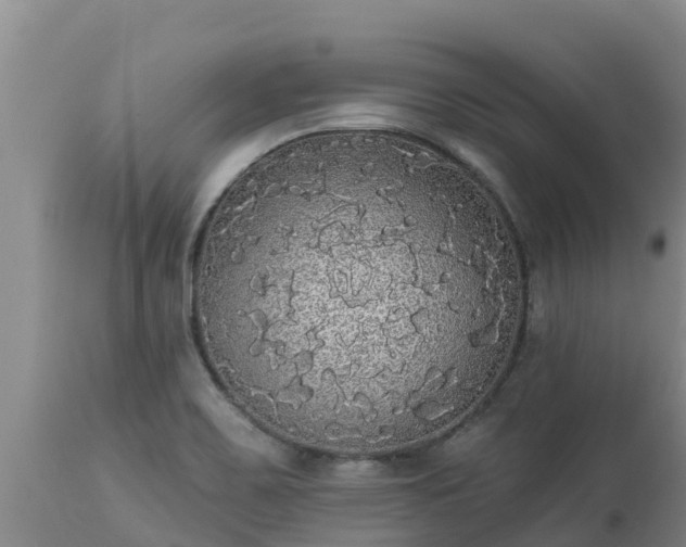 X0000112821467200908281519