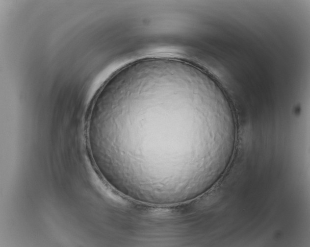 X0000112821470200908281519