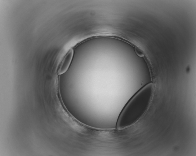 X0000112821472200908281519