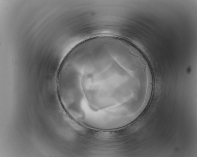 X0000112821474200908281519