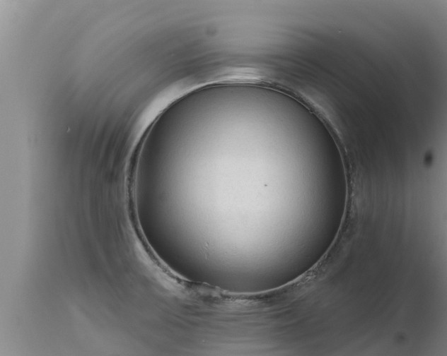 X0000112821475200908281519