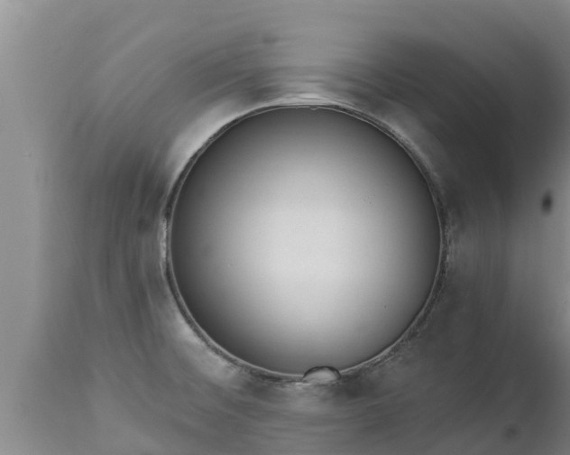 X0000112821476200908281519