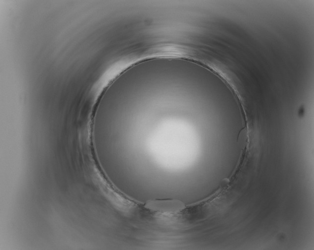 X0000112821477200908281519