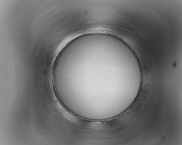 X0000112821478200908281519