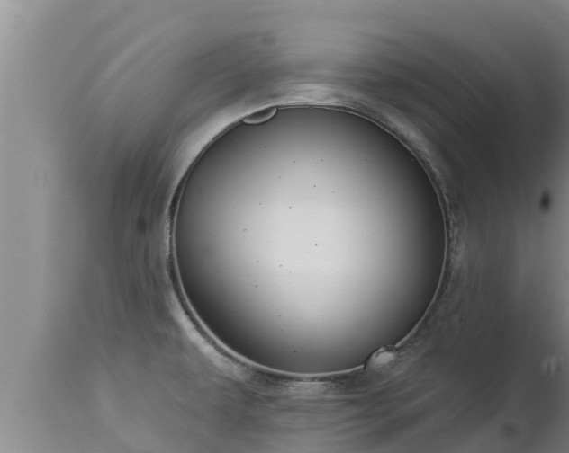 X0000112821479200908281519