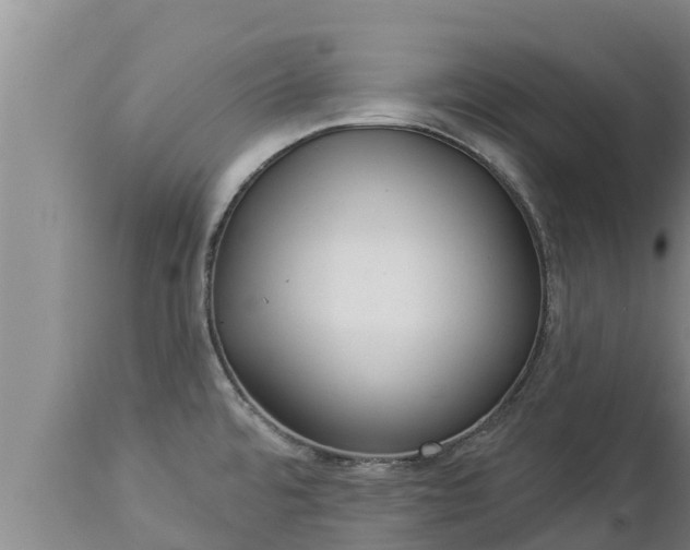 X0000112821480200908281519