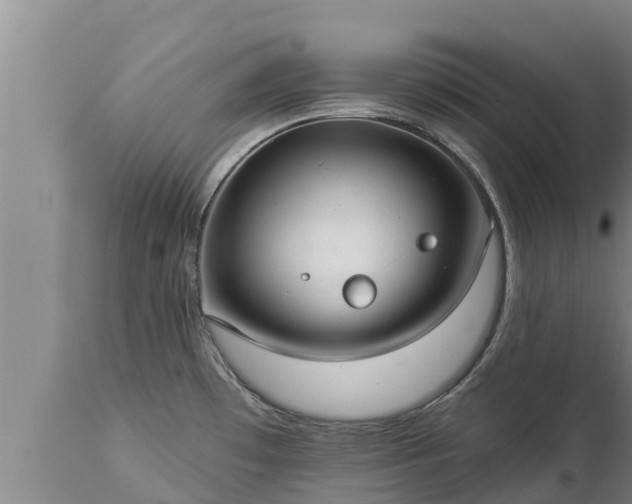 X0000112821481200908281519