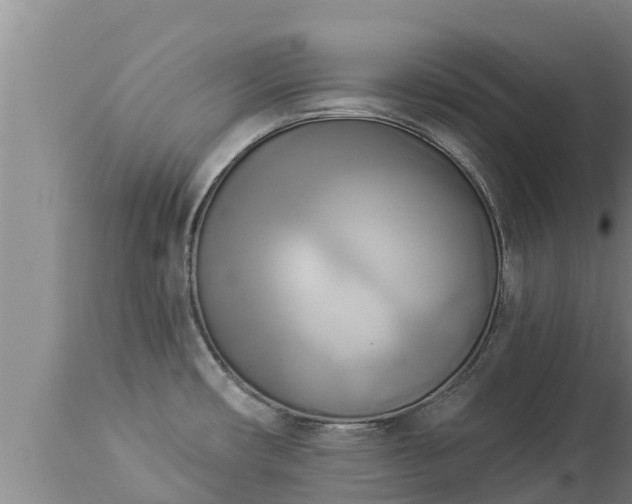 X0000112821482200908281519