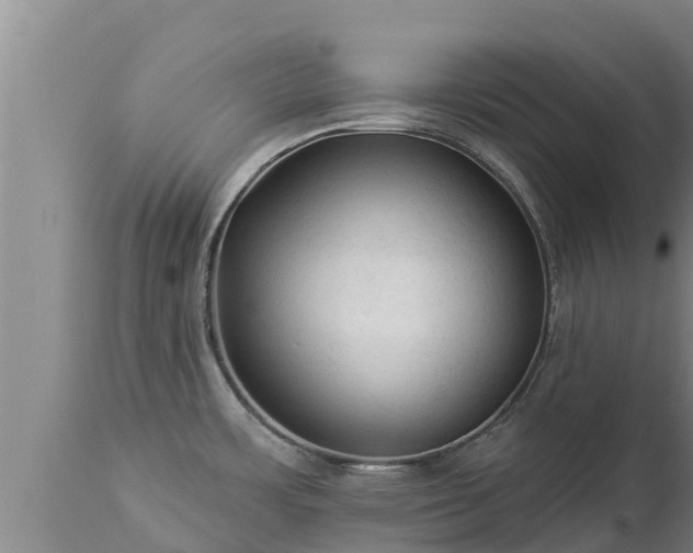 X0000112821483200908281519