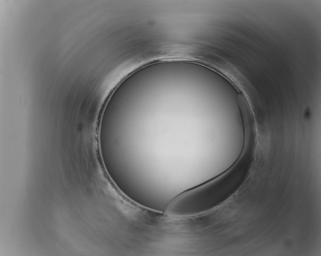 X0000112821485200908281519