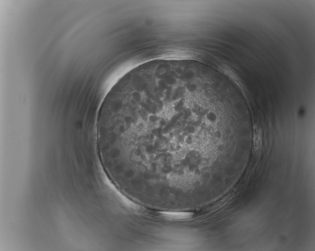 X0000112821487200908281519