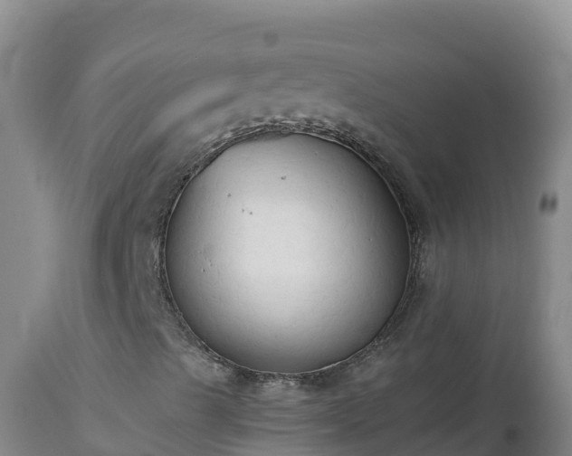 X0000112821489200908281518