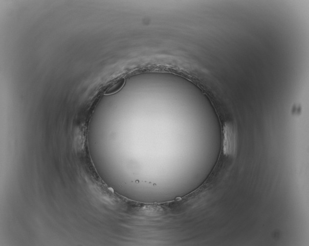 X0000112821491200908281518