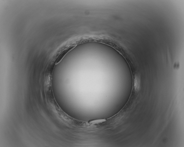 X0000112821492200908281518