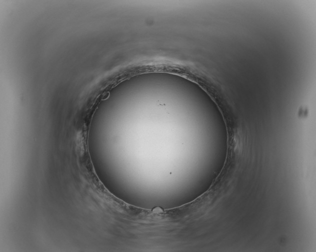 X0000112821493200908281518