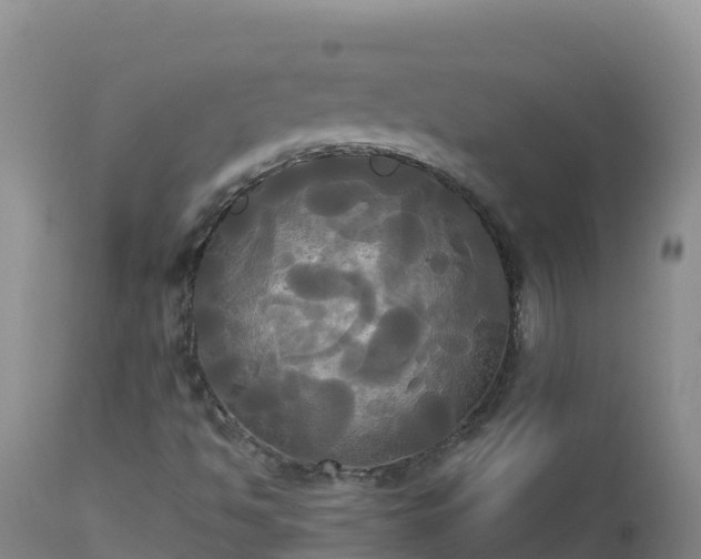 X0000112821494200908281518