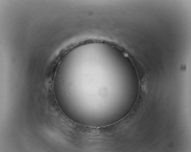 X0000112821495200908281518