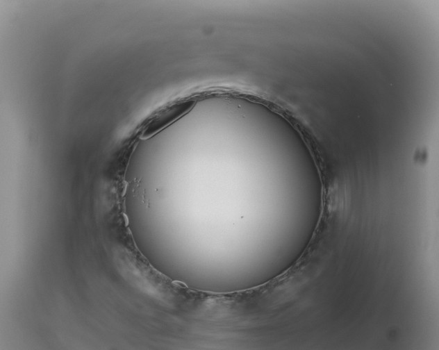 X0000112821496200908281518