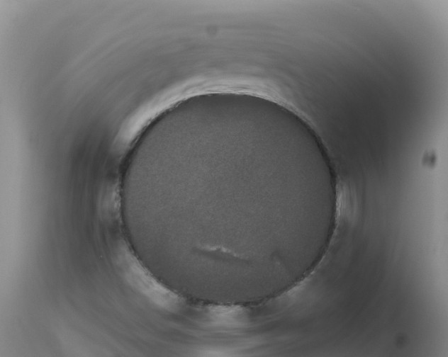 X0000112821498200908281518