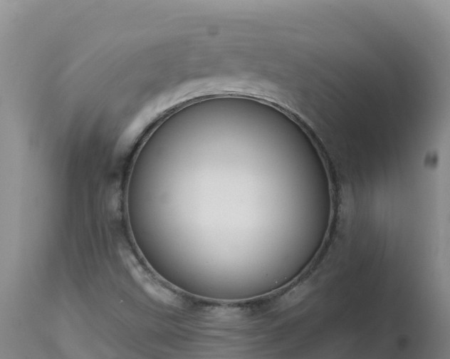 X0000112821499200908281518