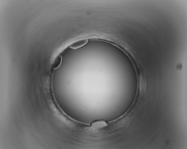 X0000112821500200908281518