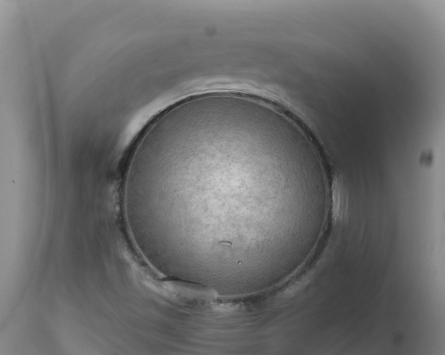 X0000112821501200908281518
