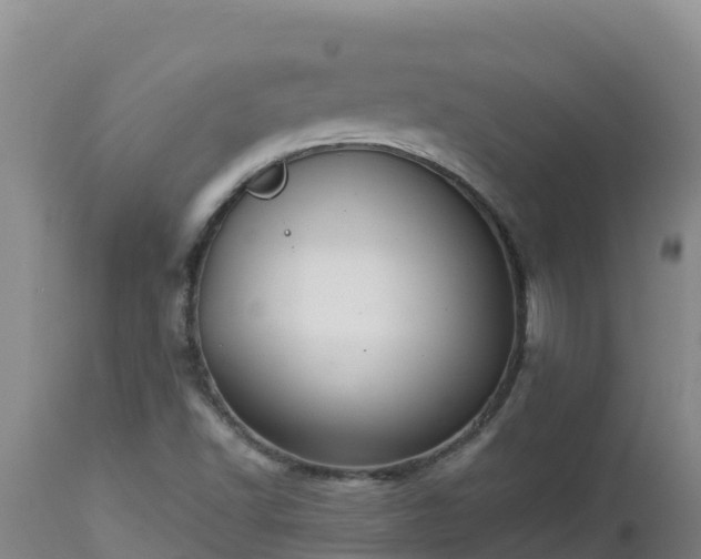 X0000112821502200908281518