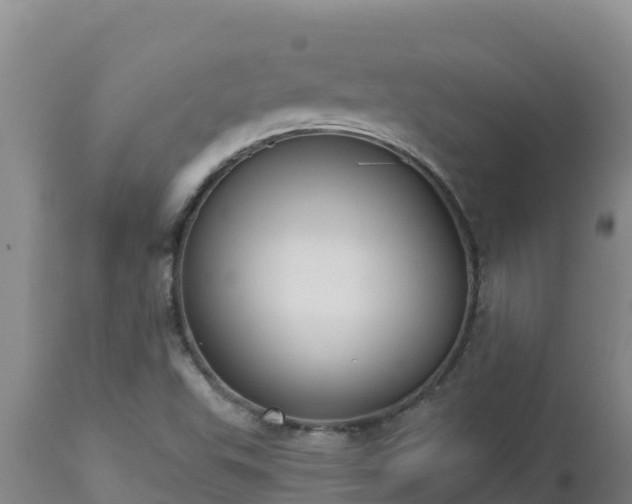 X0000112821503200908281518