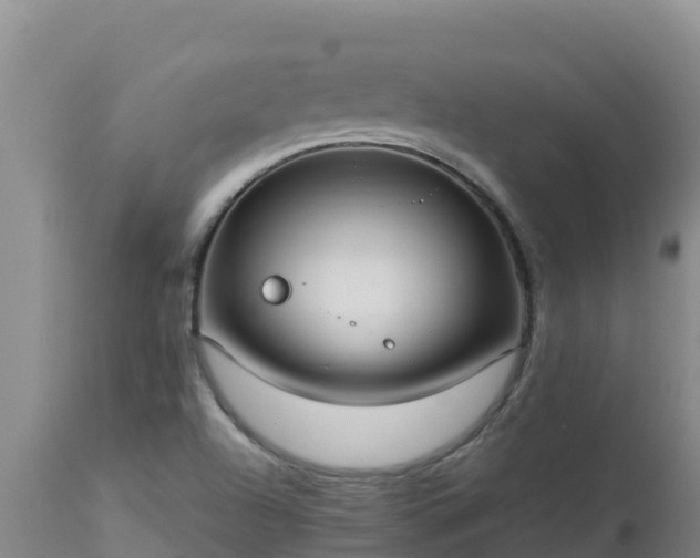 X0000112821504200908281518