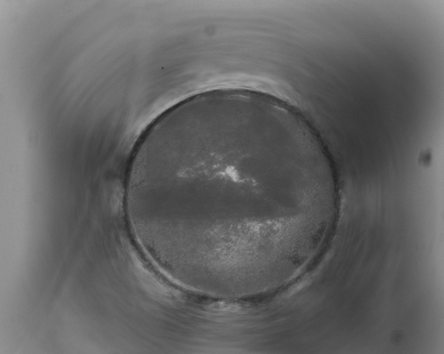 X0000112821505200908281518