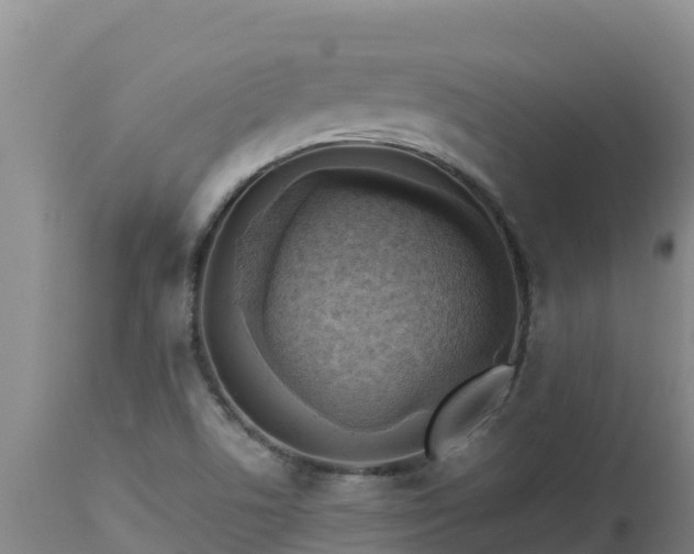X0000112821506200908281519