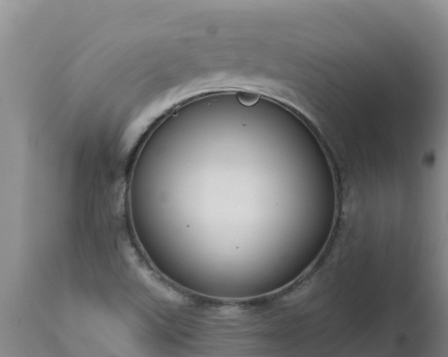 X0000112821507200908281519