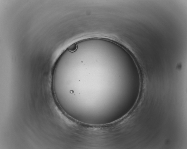 X0000112821508200908281519