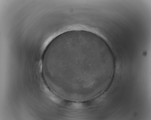 X0000112821509200908281519