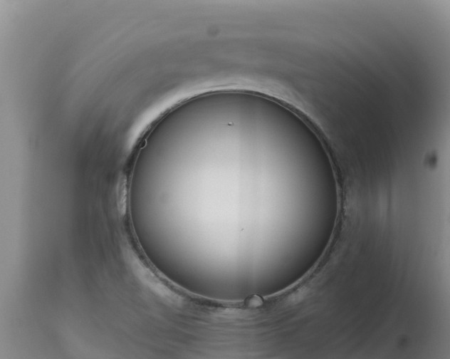 X0000112821510200908281519