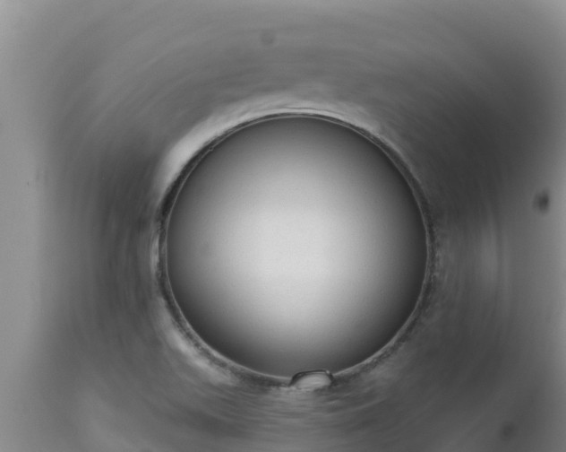 X0000112821511200908281519