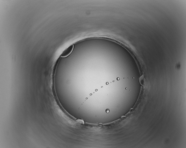 X0000112821512200908281519