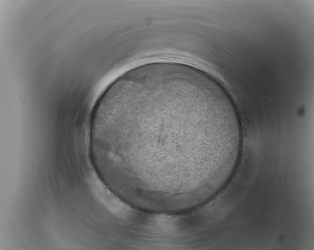 X0000112821514200908281519