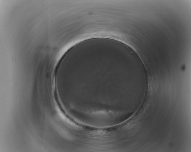X0000112821515200908281519