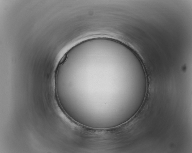 X0000112821516200908281519